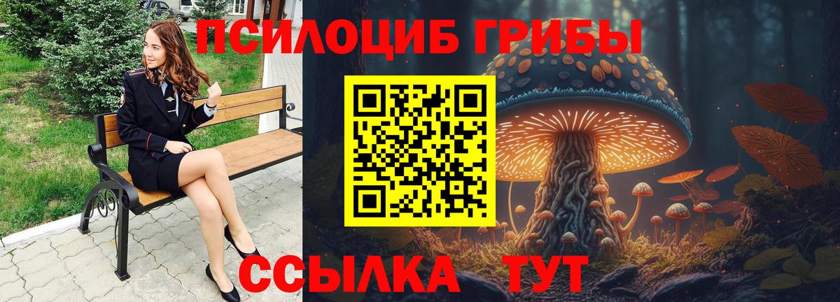 Галлюциногенные грибы прущие грибы Железноводск